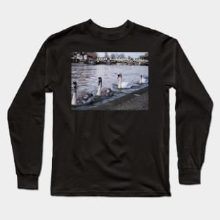 Herd of swans at banks of river thames in Windsor, Berkshire, UK Long Sleeve T-Shirt